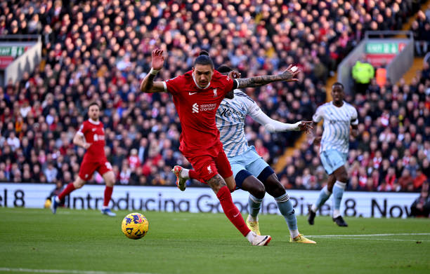 国电影市场 国电影市场