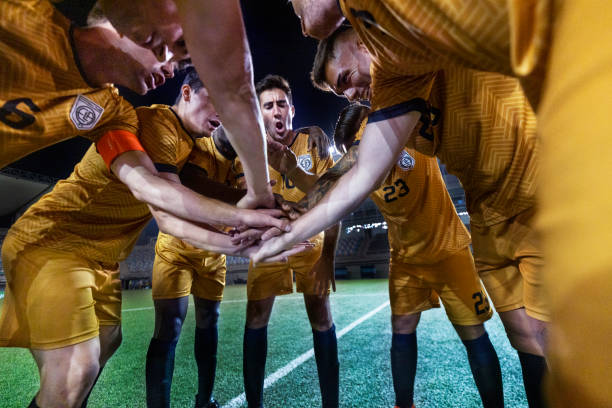 數據中的偉 數據中的偉